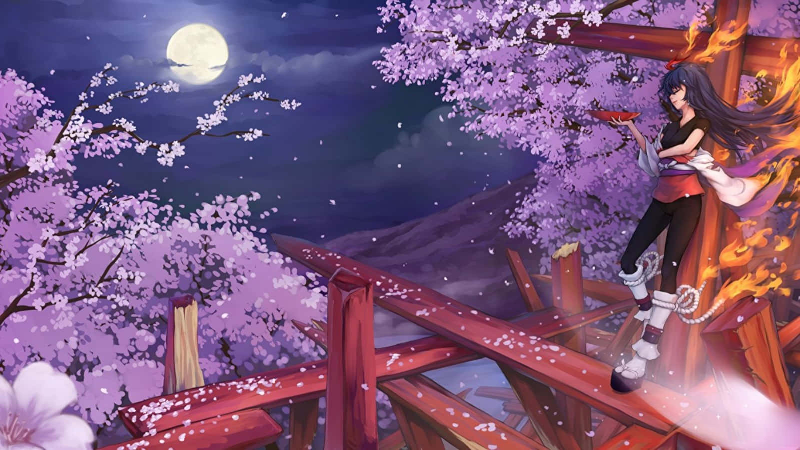 Långthårig Tjej Natt Sakura Anime Träd Wallpaper