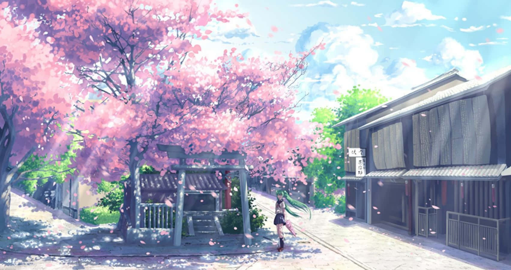 Sakura Anime Blossom Trees Scenery Digital Art Wallpaper