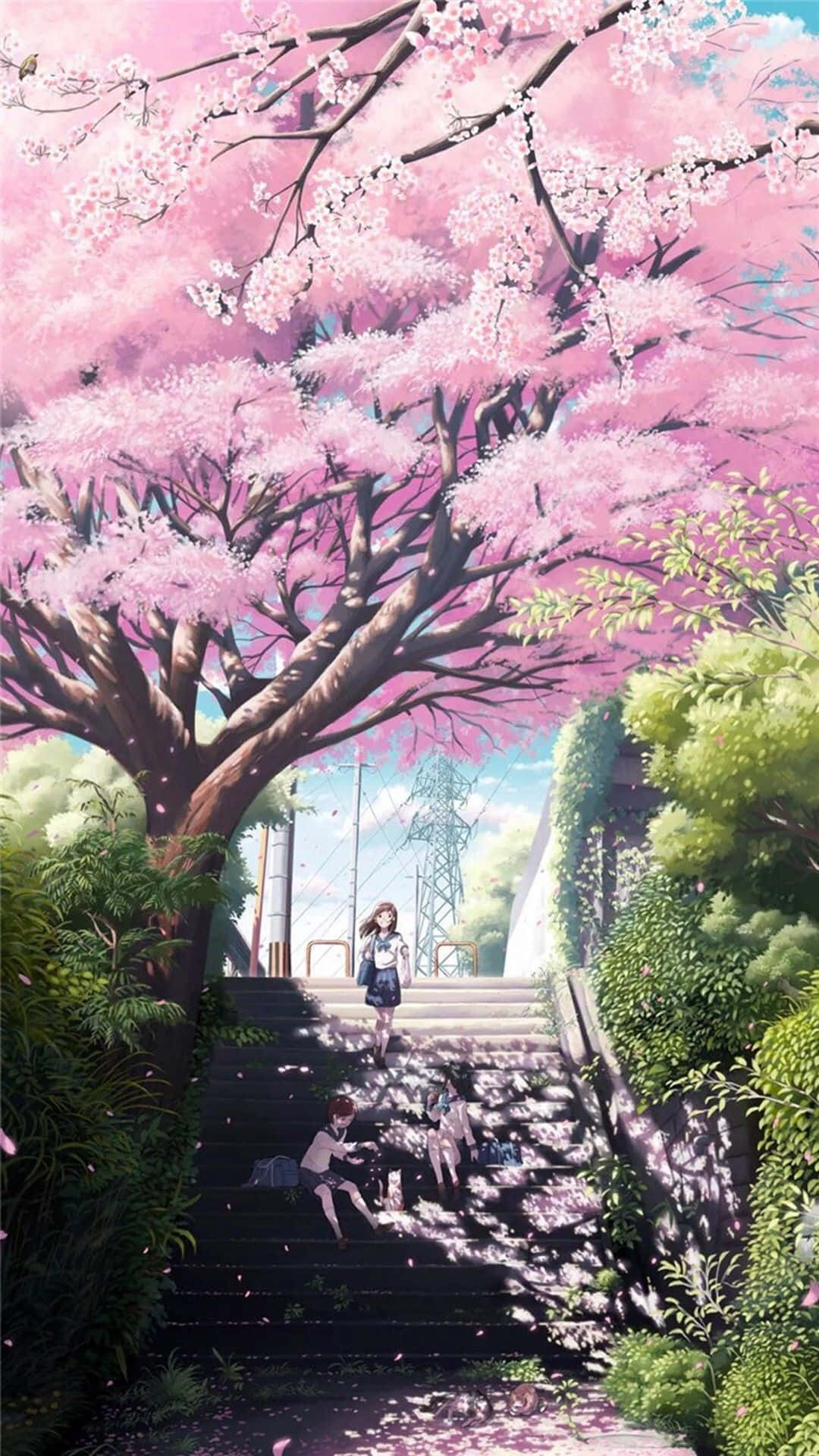 A happy girl surrounded by sakura petals Wallpaper