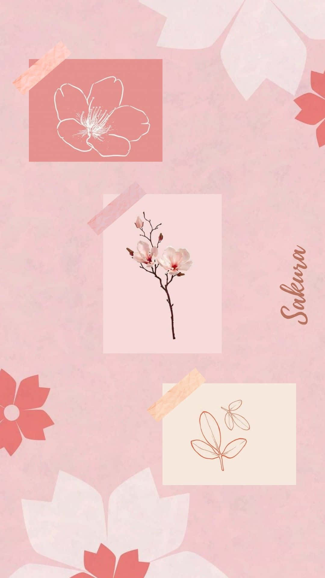 a pink background with flowers and a pink flower