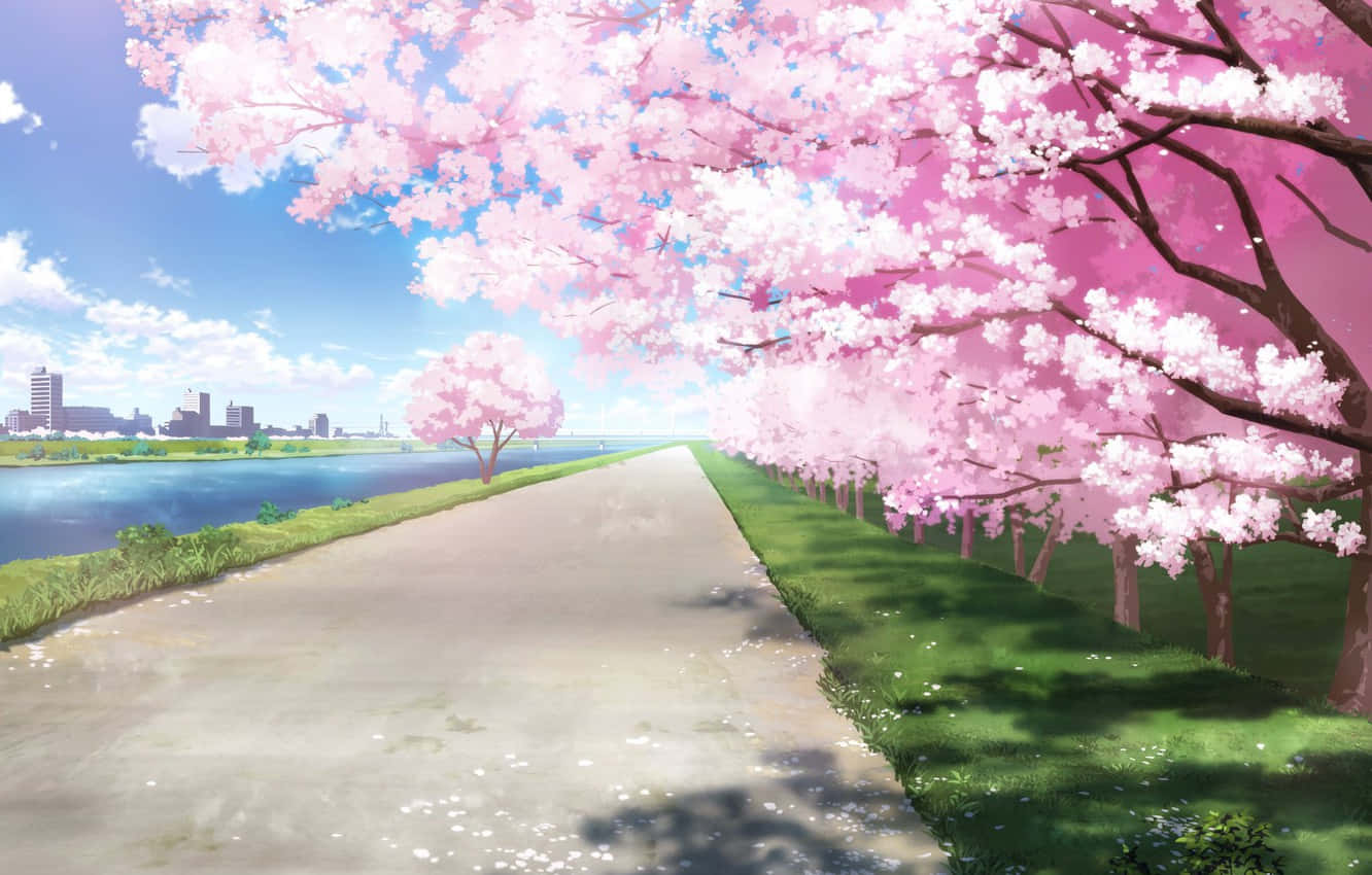 Enkaskade Af Bløde Lyserøde Sakura-blomster Falder Roligt I Morgenlyset.
