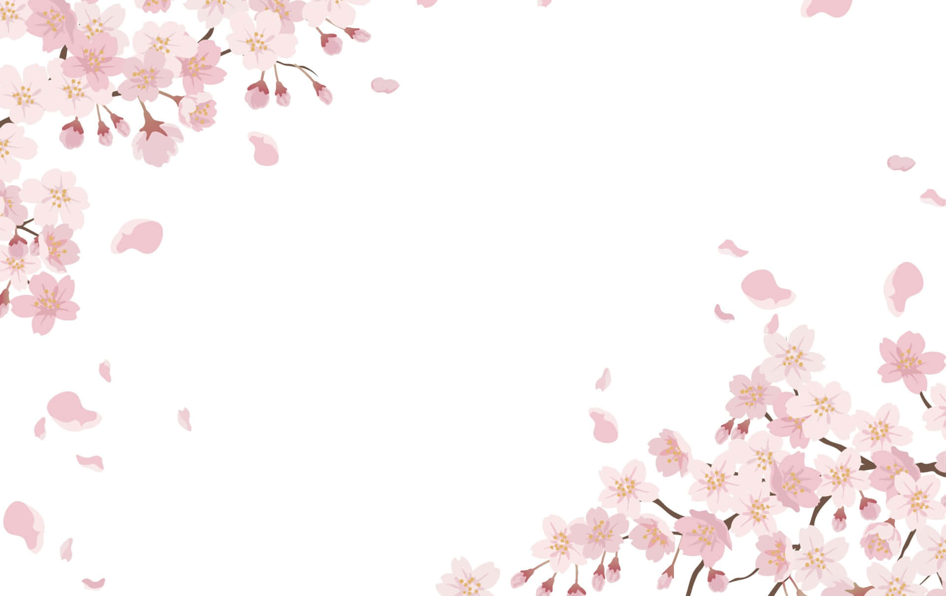 Nydsommeren Med En Sakura I Fuldt Flor.