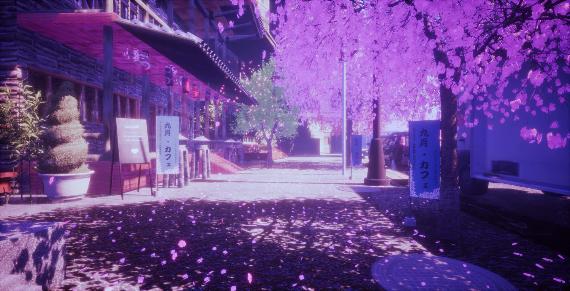 Forbløffendepink Sakura Blomster, Der Blæser I Vinden.