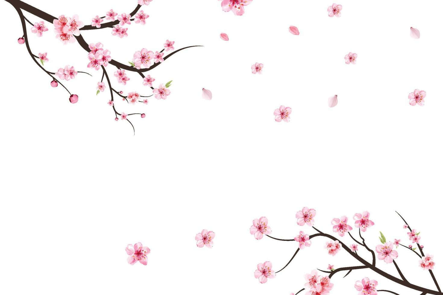 Hintergrundmit Sakura