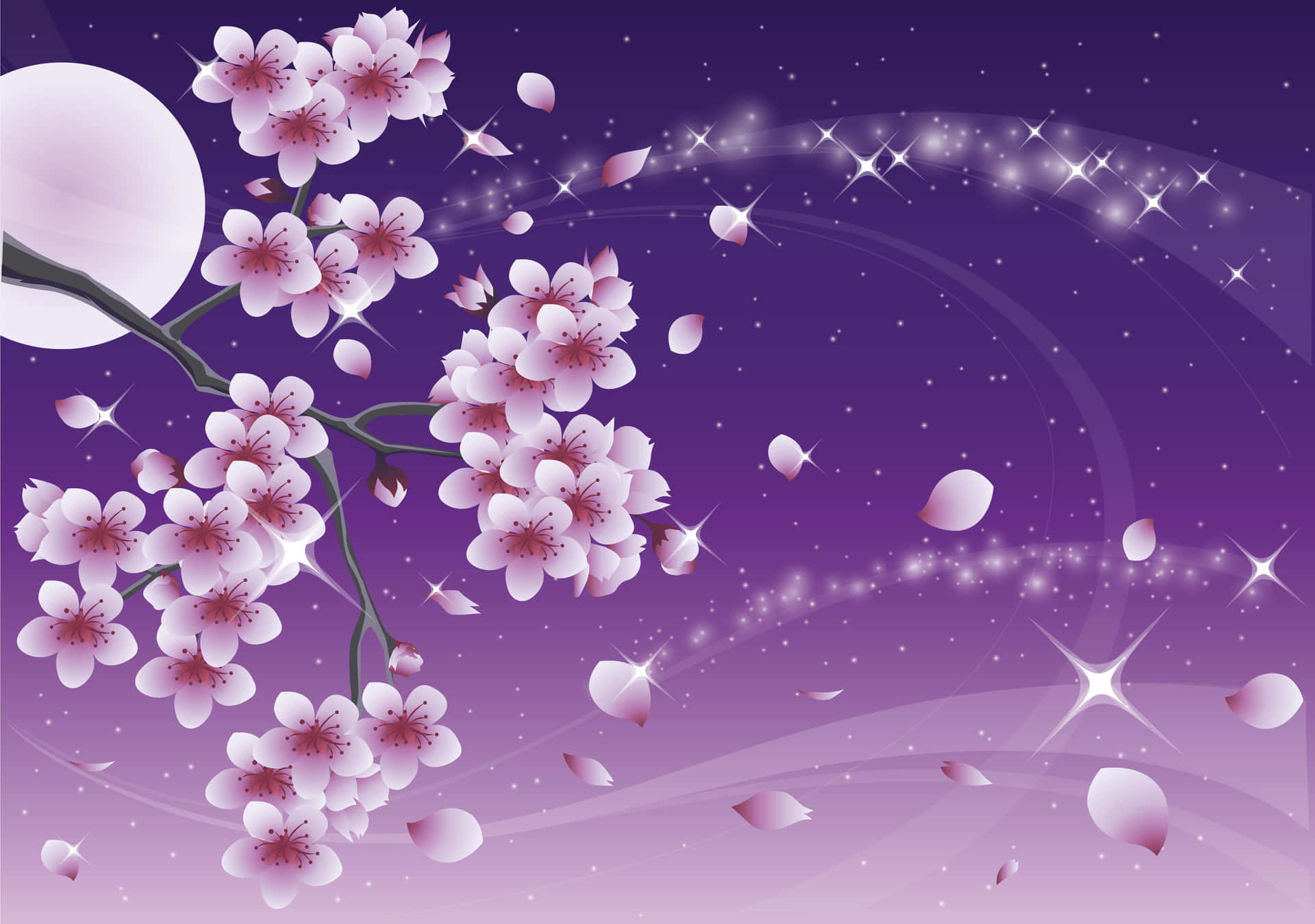 Disfrutala Belleza De La Flor De Sakura En Primavera. Fondo de pantalla