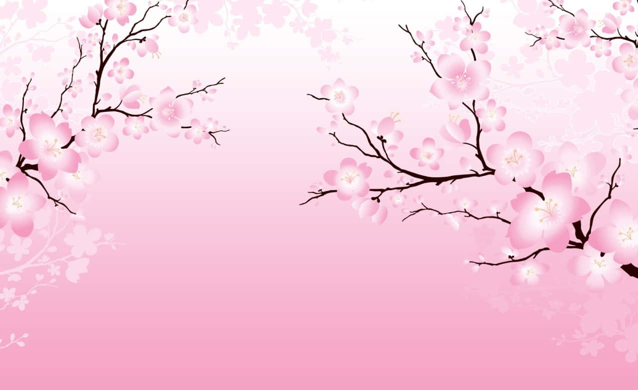 Uppskattaskönheten I Sakura-blomningen På En Fredlig Vårdag. Wallpaper