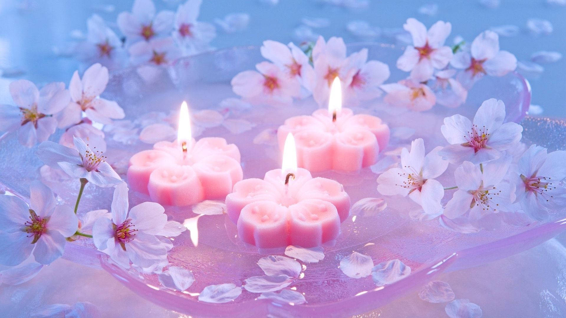 Sakura Candles Wallpaper