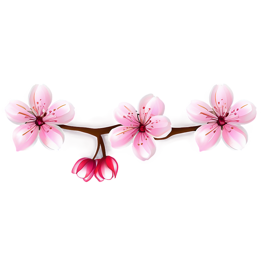 Download Sakura Flower Art Png Pfe | Wallpapers.com