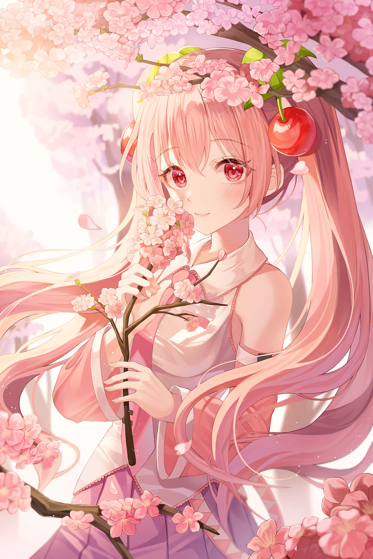 Njutav Skönheten Och Lyckan Med Sakura Miku Som Bakgrundsbild På Din Dator Eller Mobiltelefon. Wallpaper