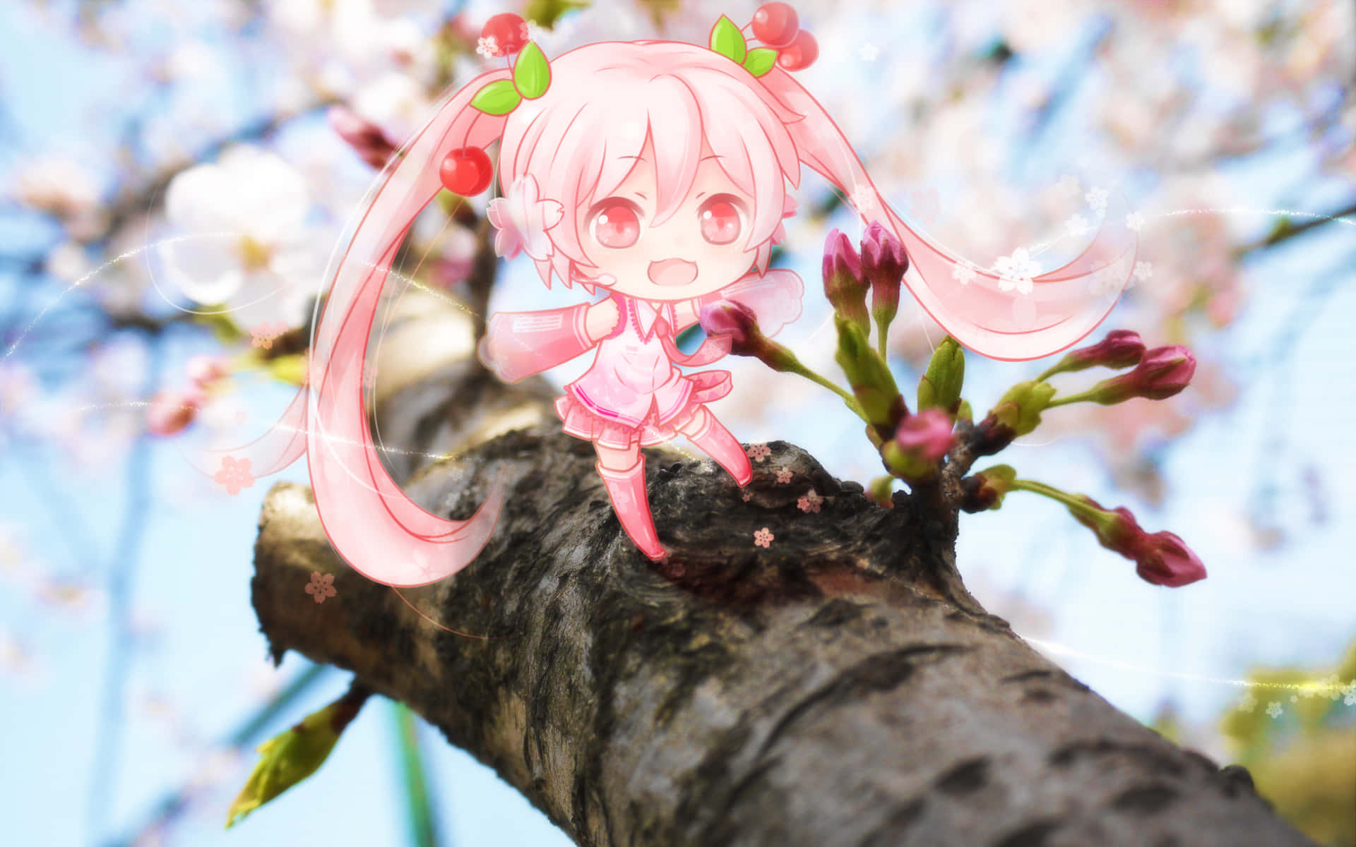 Spring is in the air with the beautiful Sakura Miku Wallpaper