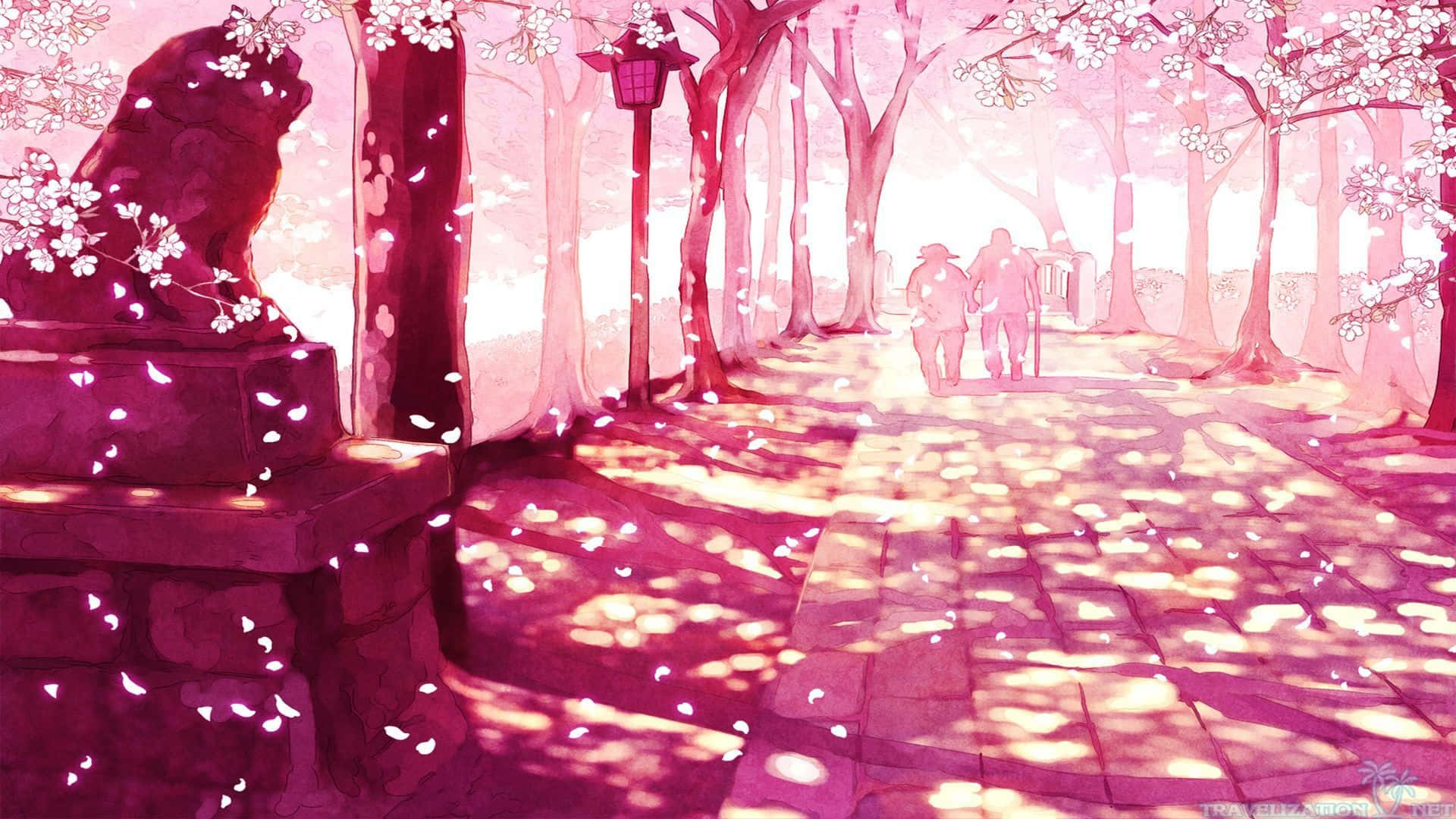 En pink sti med kirsebærblomster i baggrunden Wallpaper