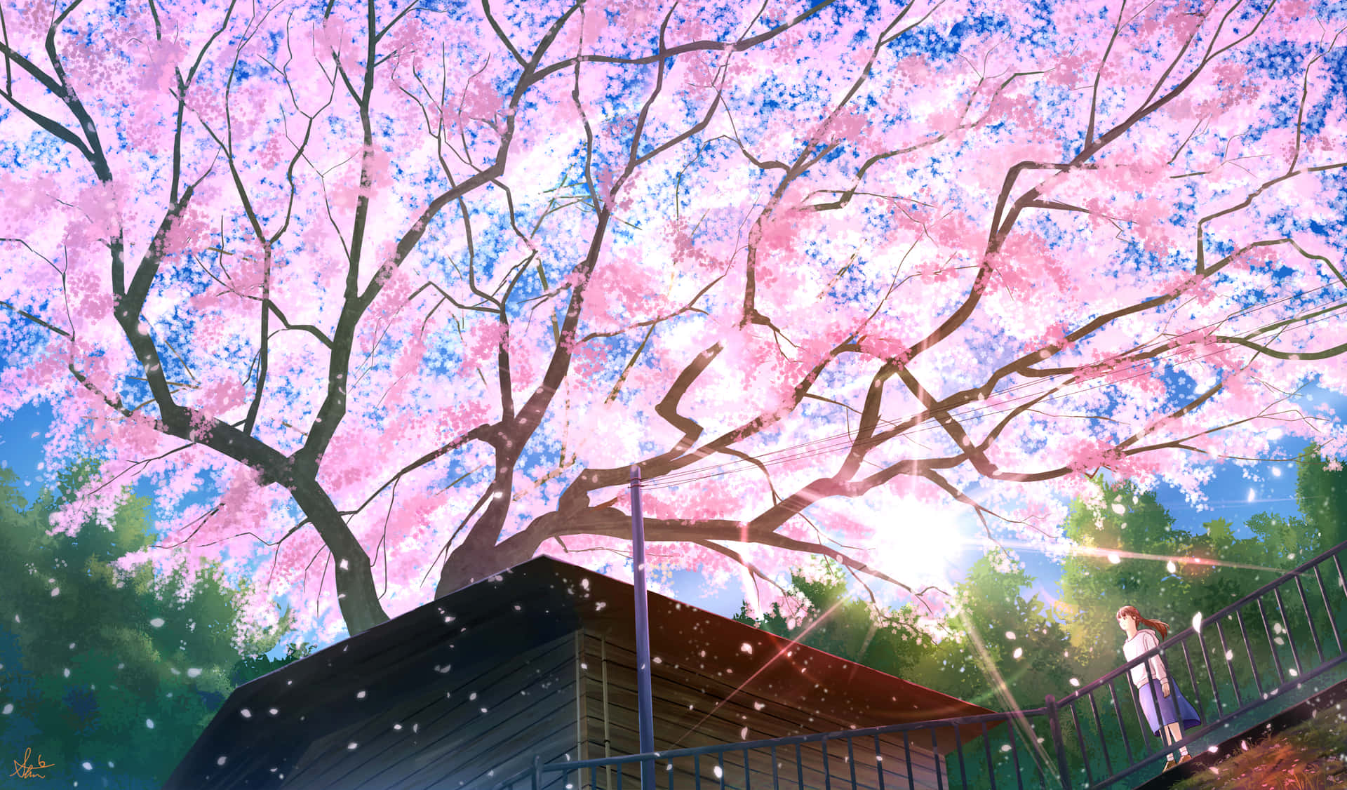 Ergreifeden Moment Mit Sakura Pc Wallpaper
