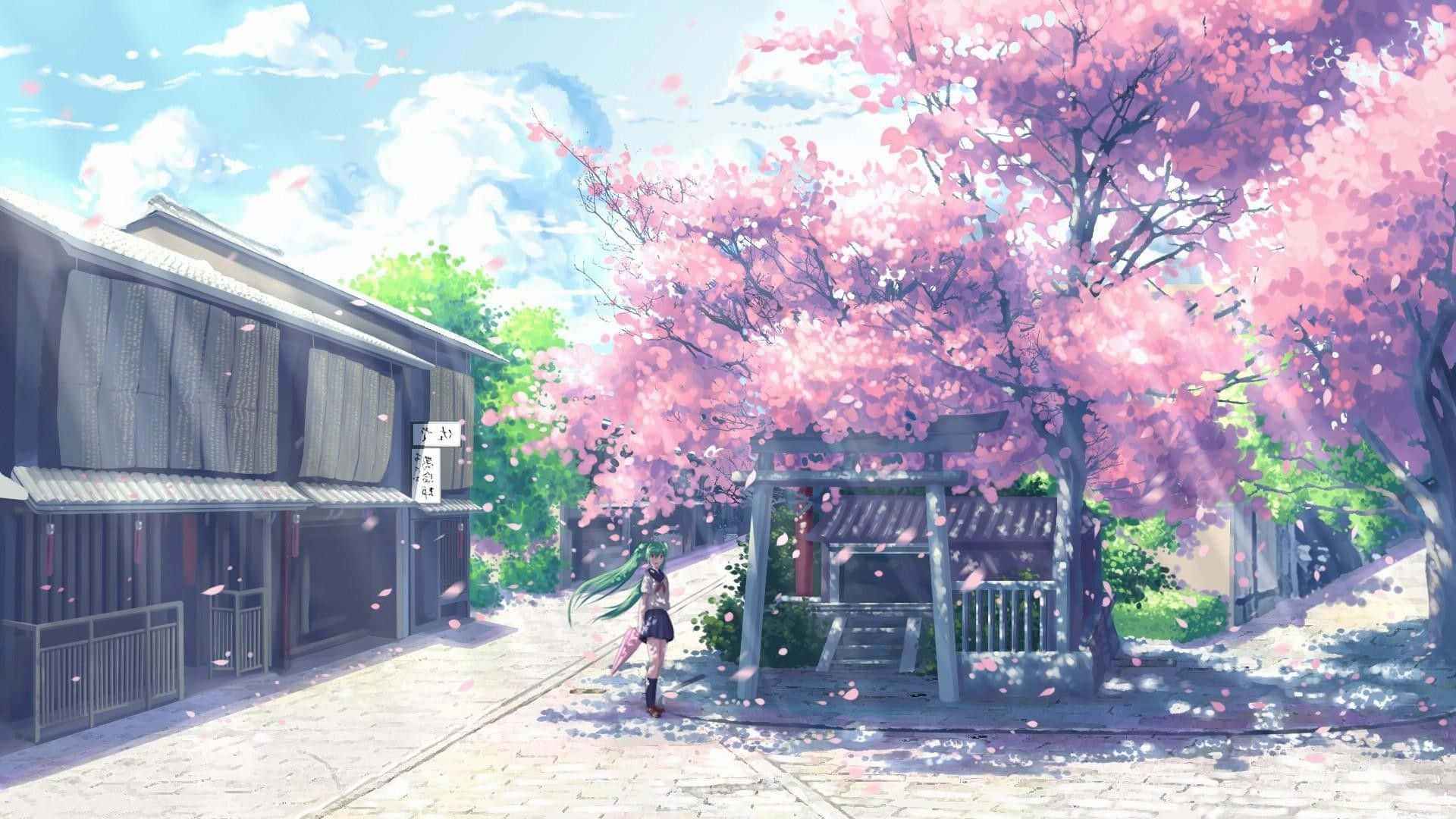 En gade med lyserøde blomstre træer og et hus Wallpaper