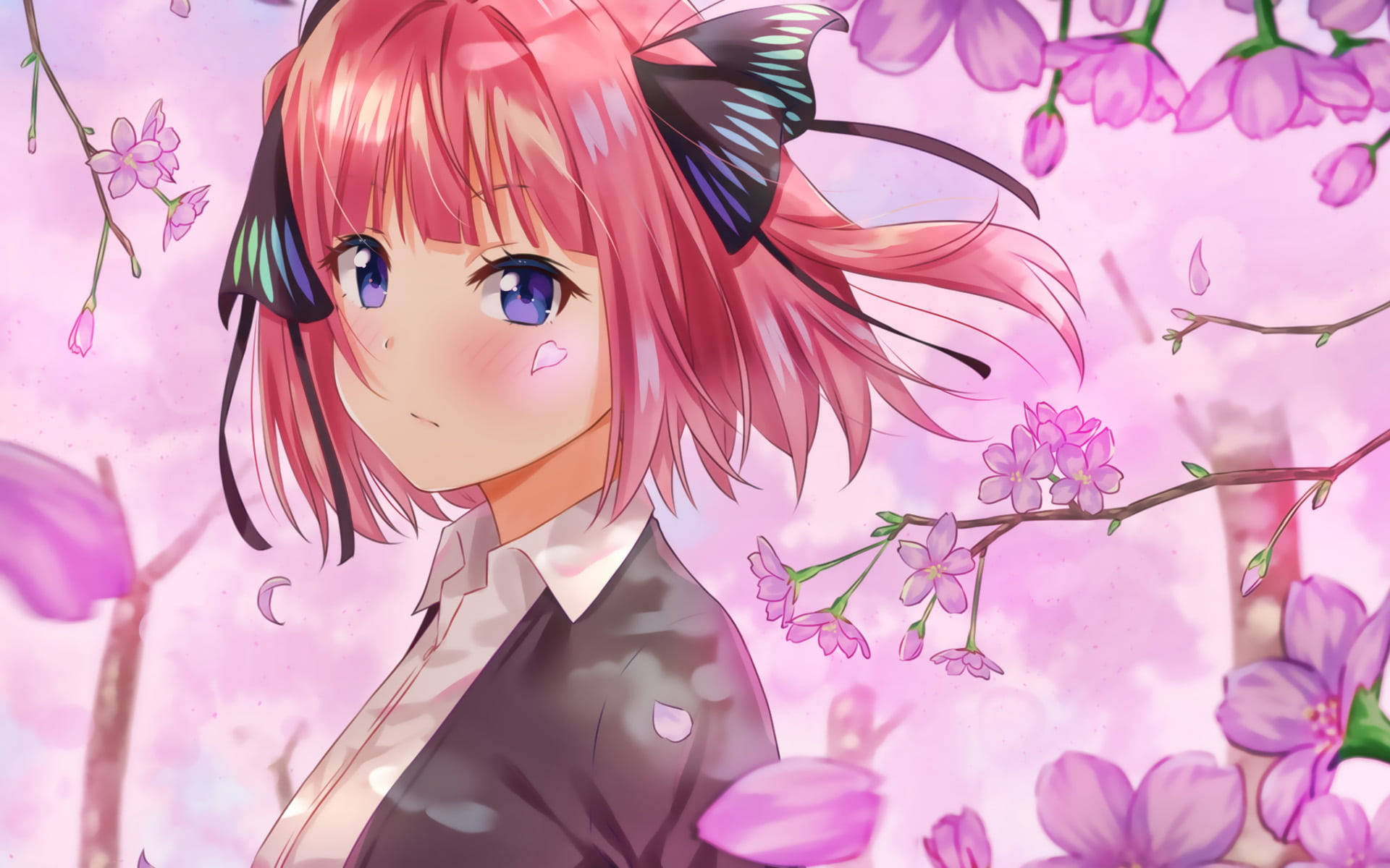 Sakura Petals Nino Nakano Wallpaper