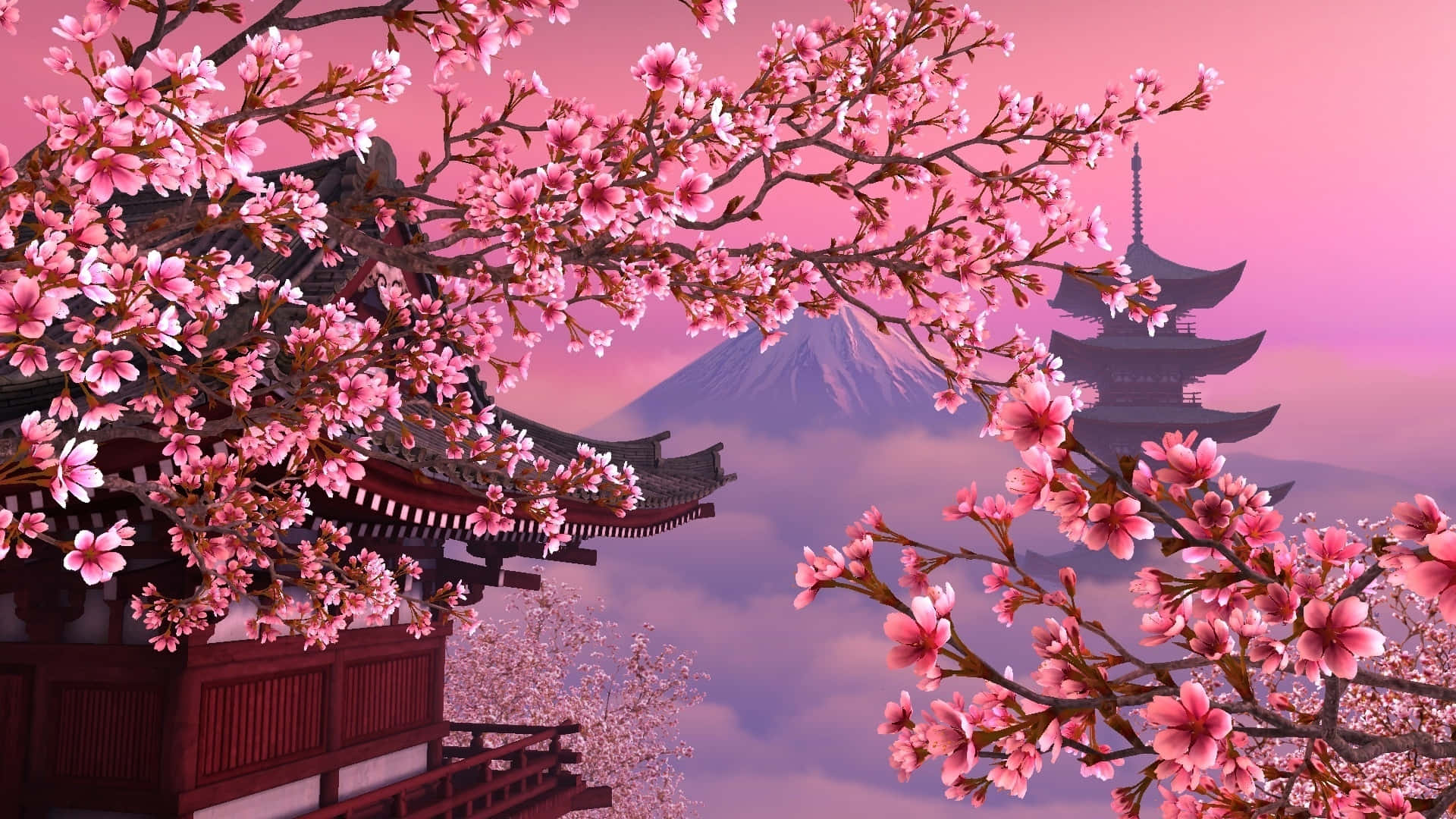 A blooming rainbow of sakura at night