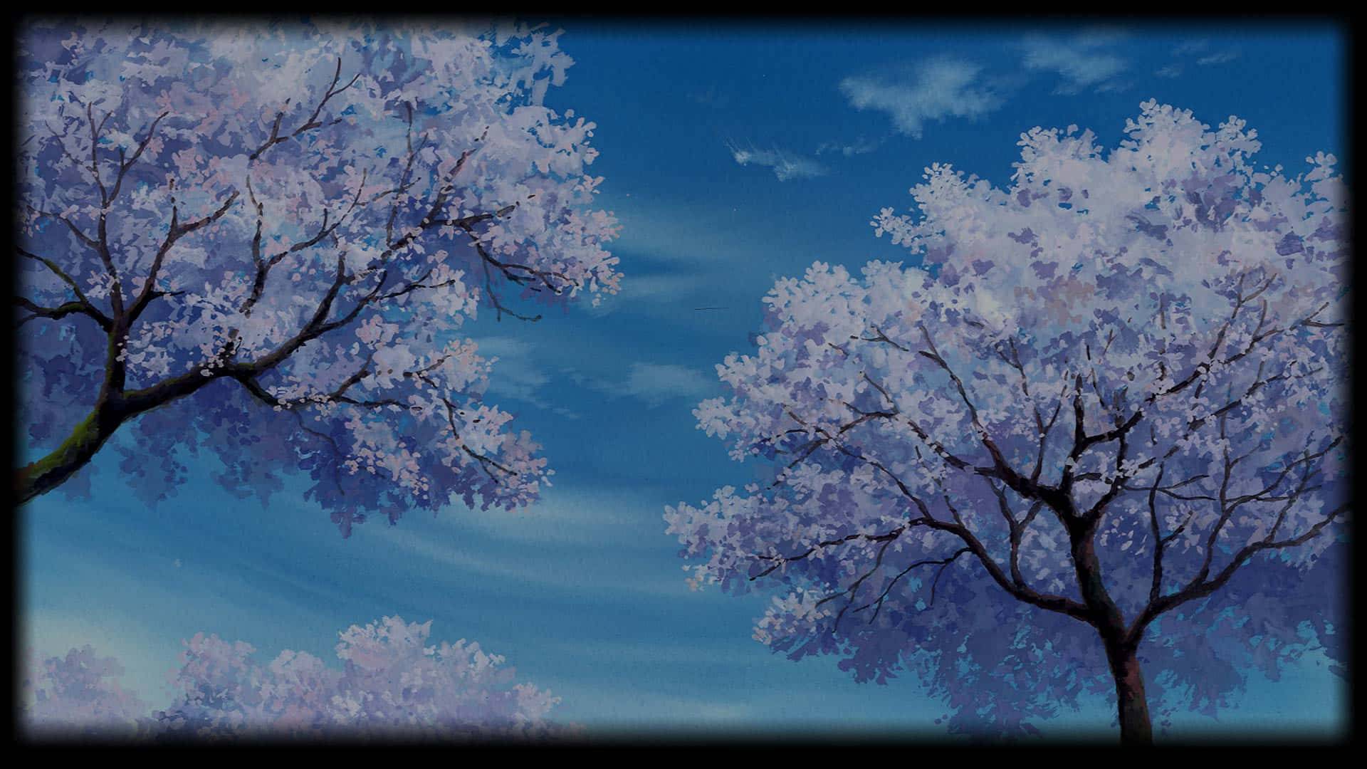 Sakura Tree Background