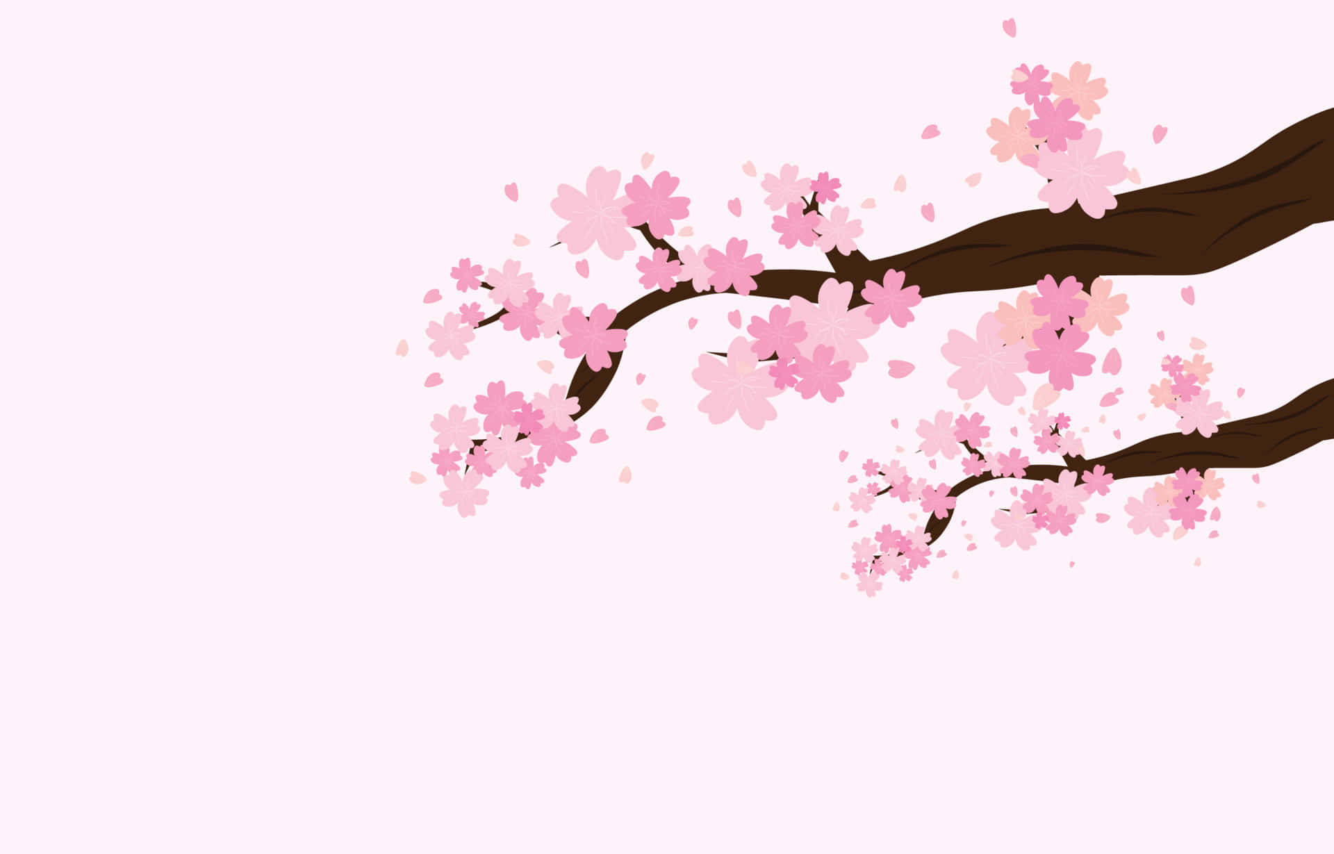 Sakura Tree Background