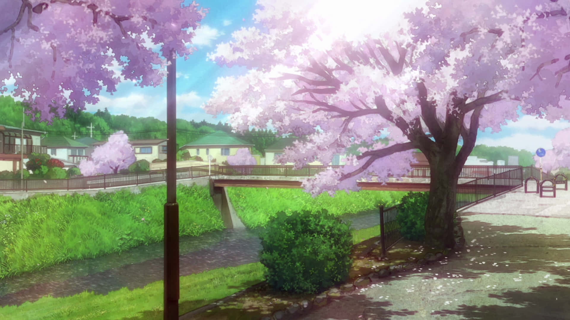 Sakura Tree Background