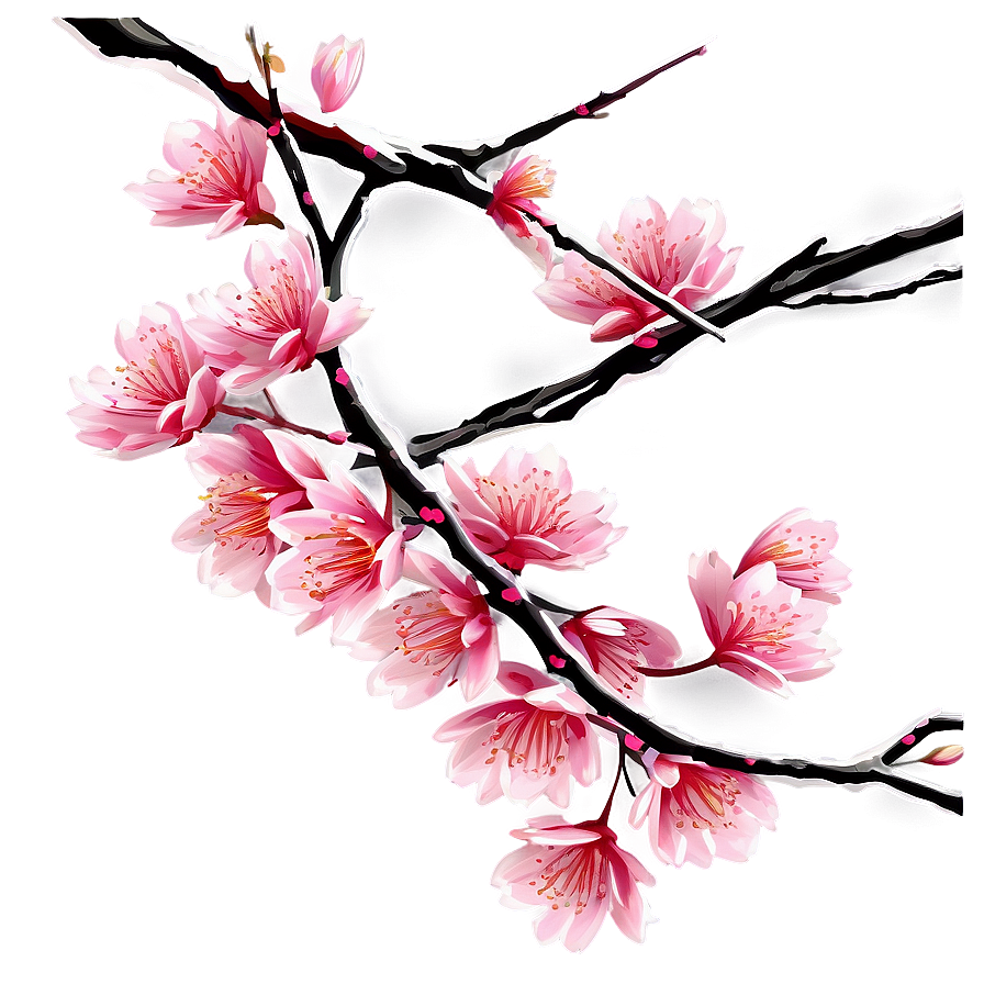 Sakura Tree Branch Close-up Png 82 PNG