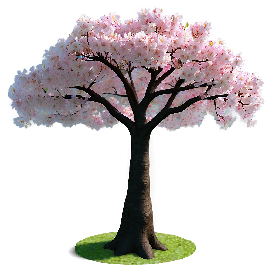 Sakura Tree In Park Setting Png Wxh16 PNG