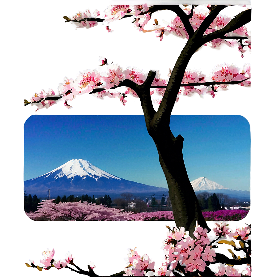Sakura Tree With Mount Fuji Png 06122024 PNG