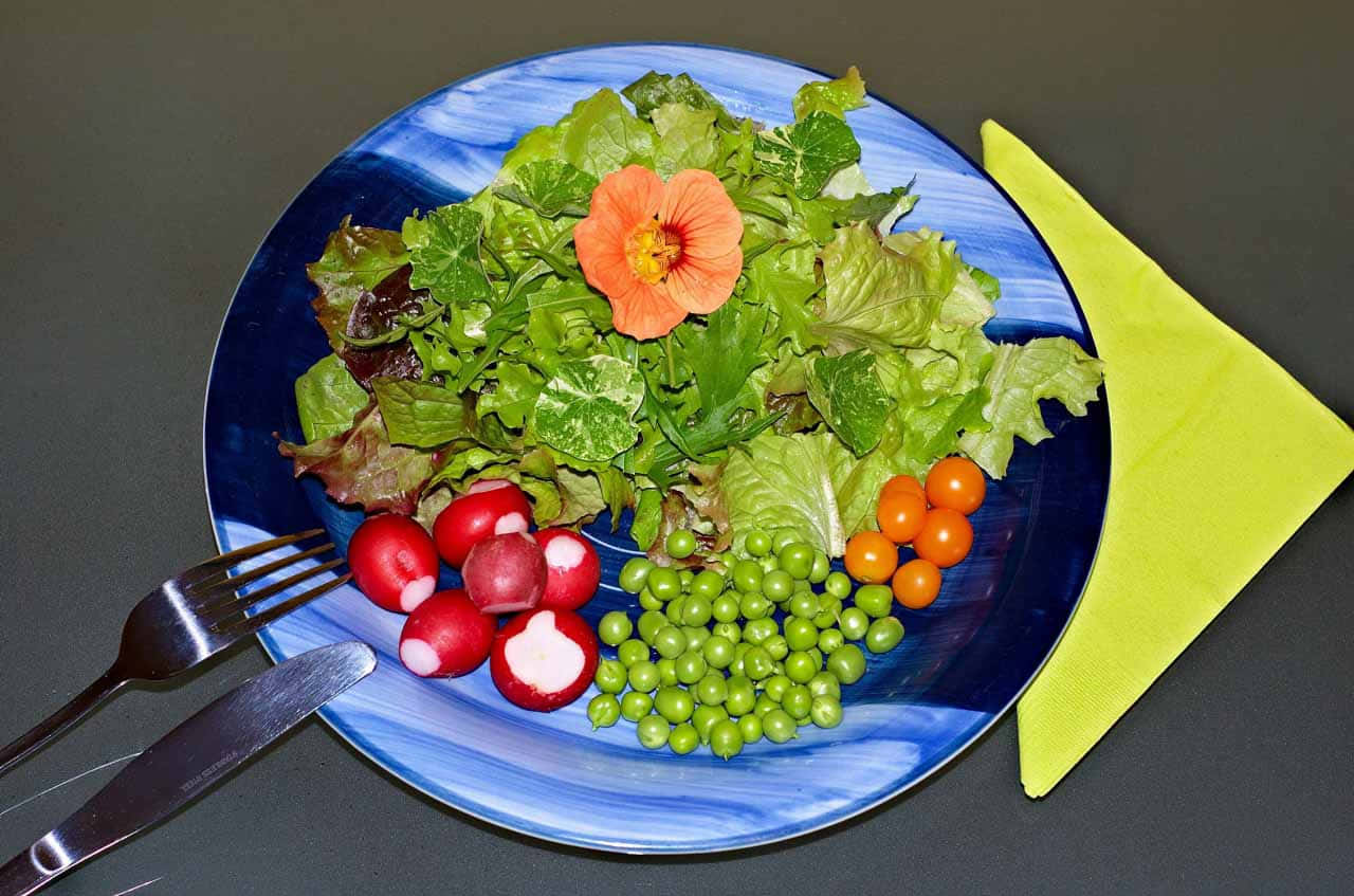 Crunchy Fresh Salad Bowl