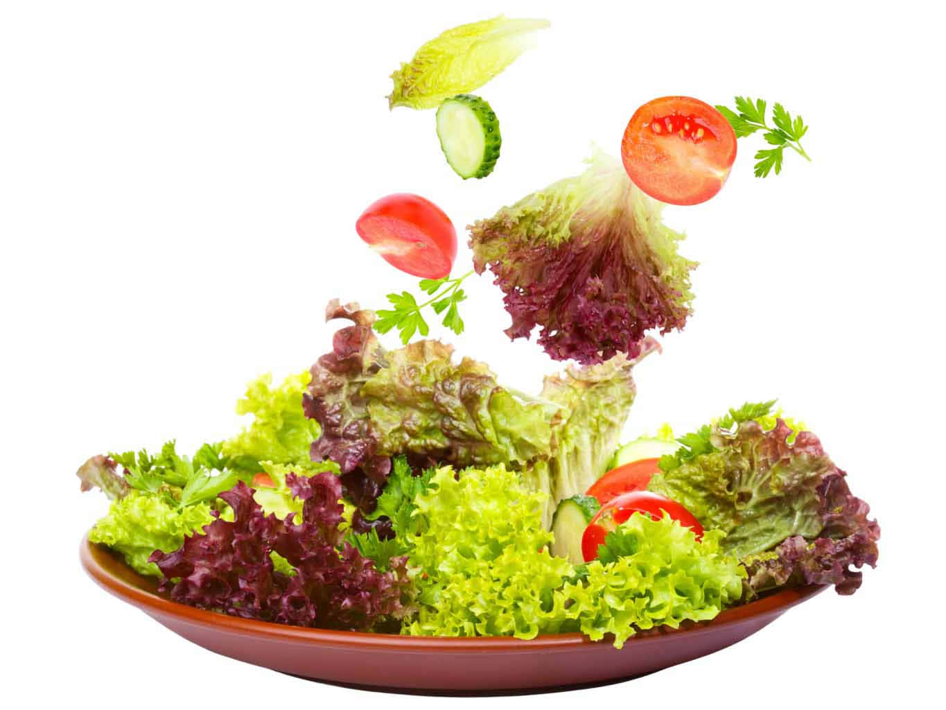 Fresh and Healthy Salad Meal