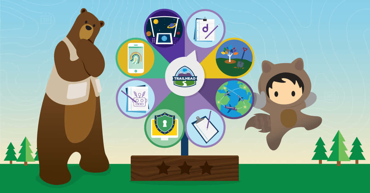 Salesforce Background