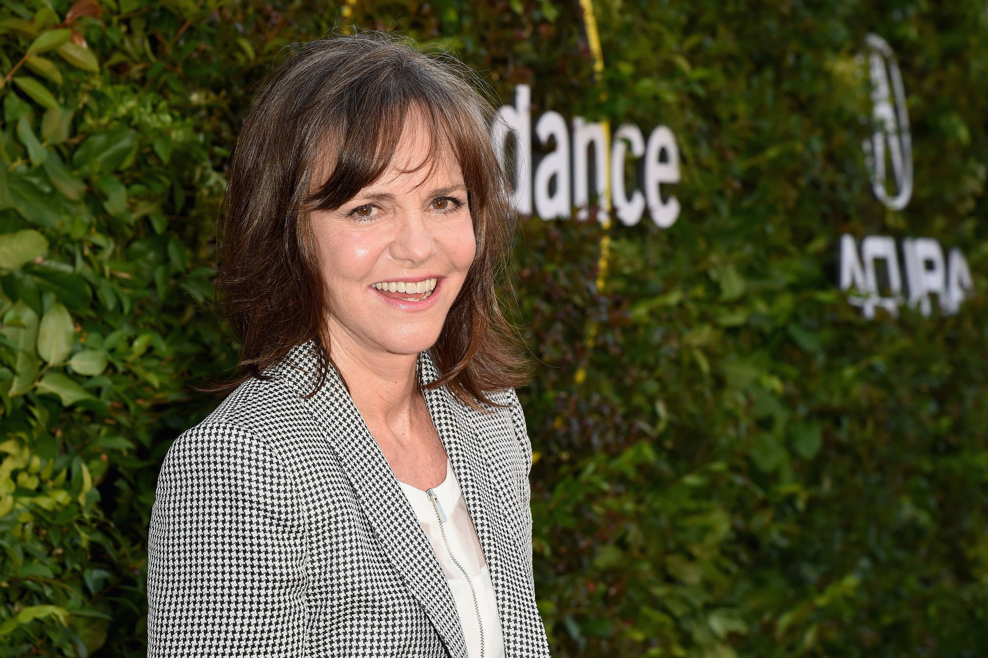 Sally Field In A Gray Plaid Blazer Picture