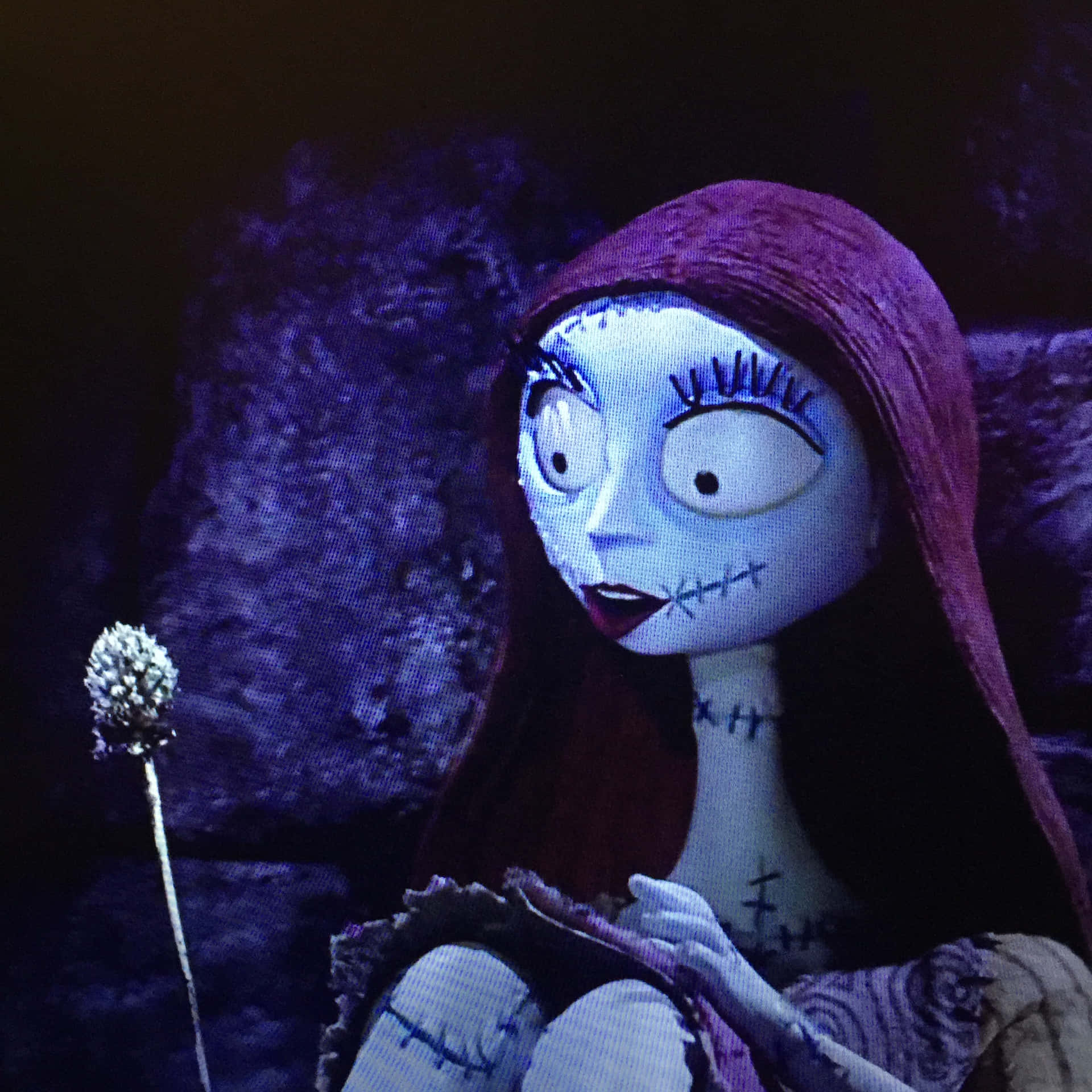 Sally_with_ Dead_ Flower_ Nightmare_ Before_ Christmas Wallpaper