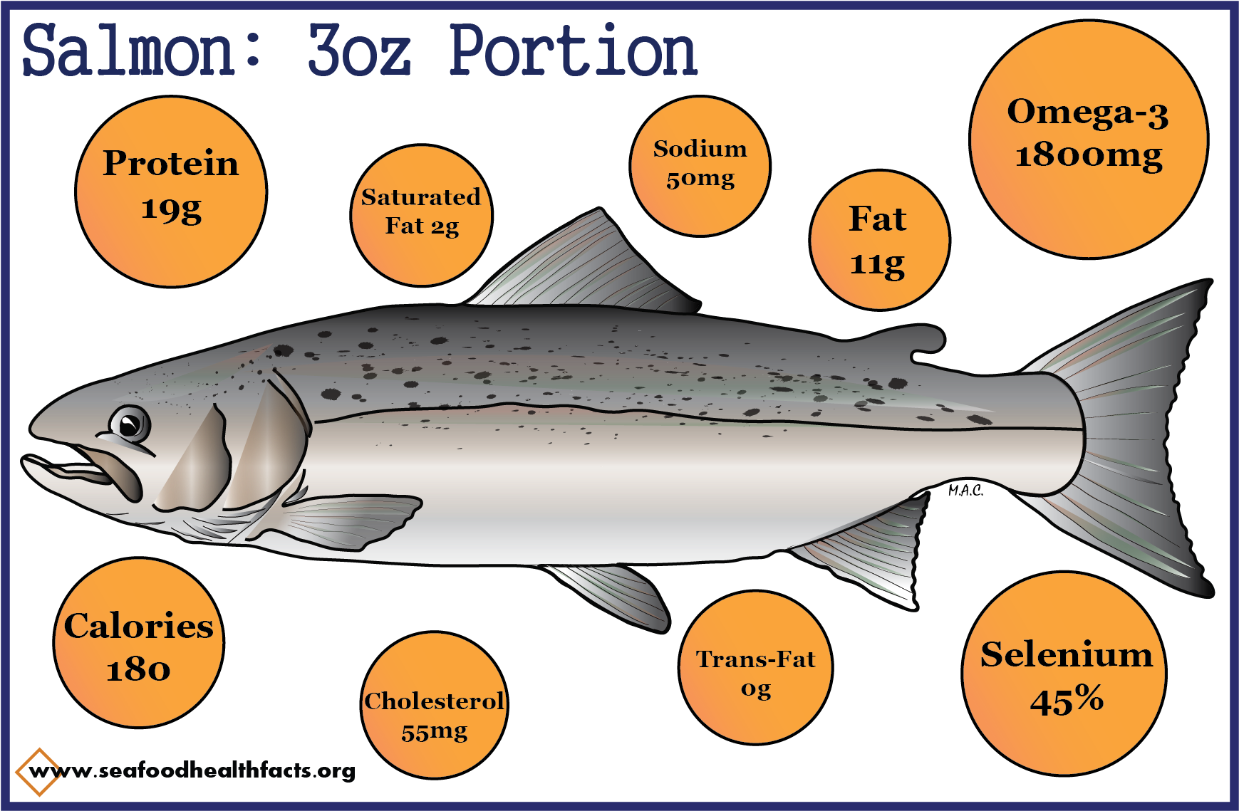 Salmon Nutritional Value3oz Portion PNG