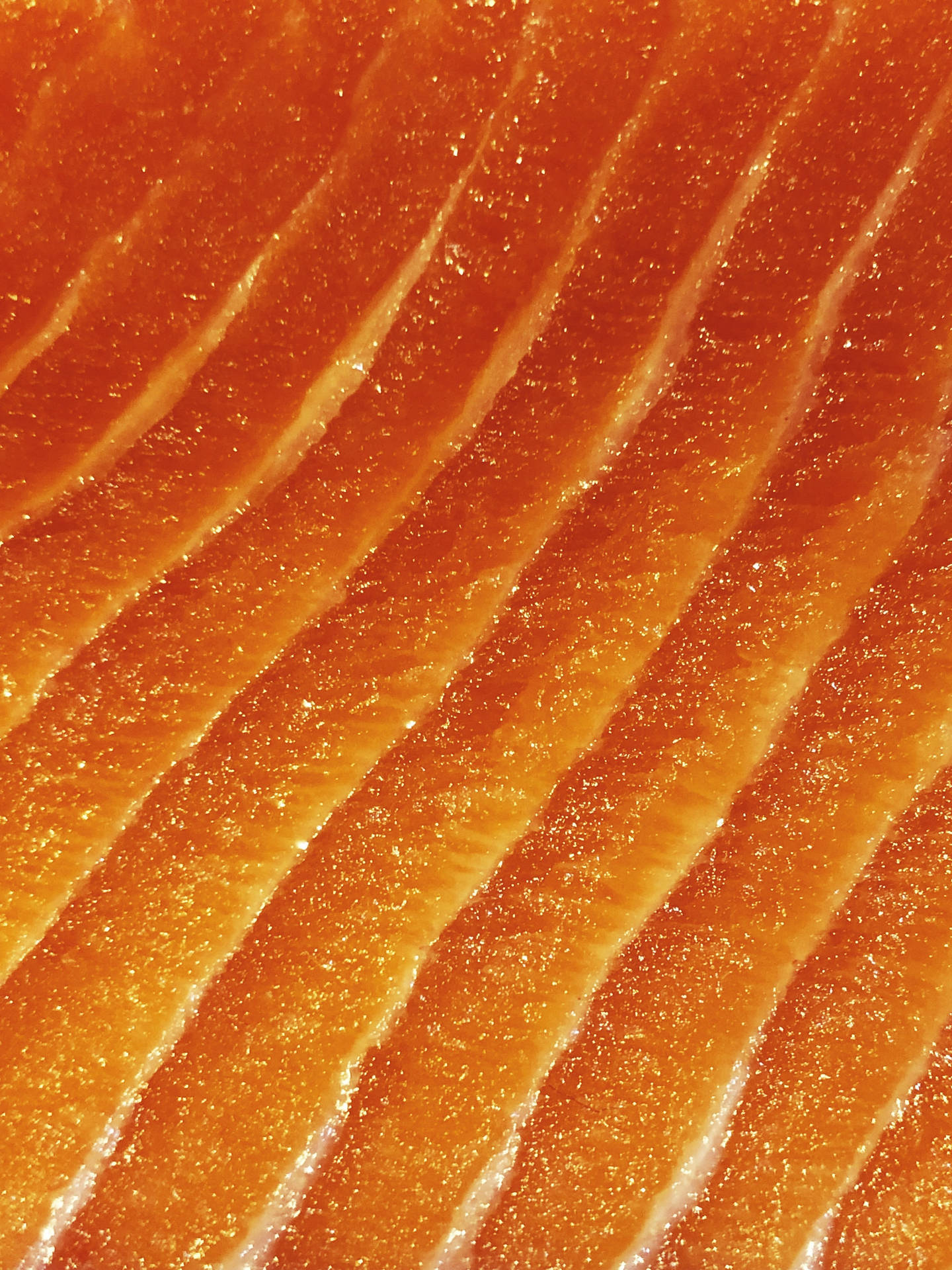 Salmon Raw Close-up Shot Wallpaper