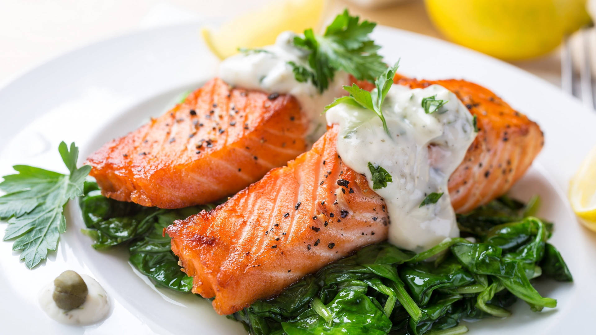 Salmon With Cream And Vegetables Wallpaper
