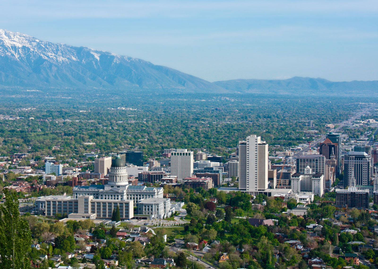 Árbolesverdes De Salt Lake City Fondo de pantalla