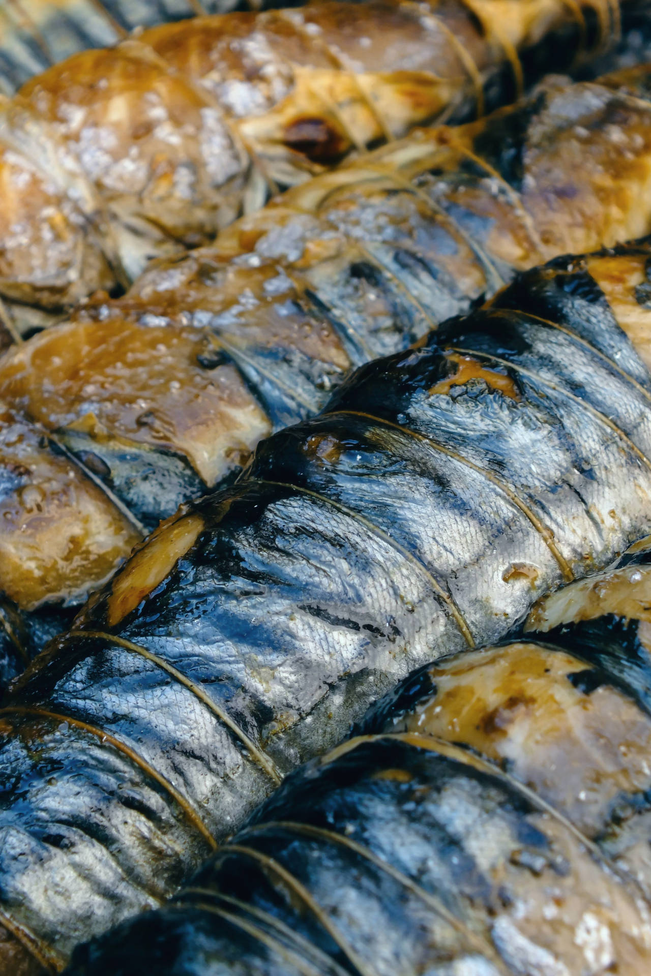 Exquisite Grilled Mackerel Fish Wallpaper