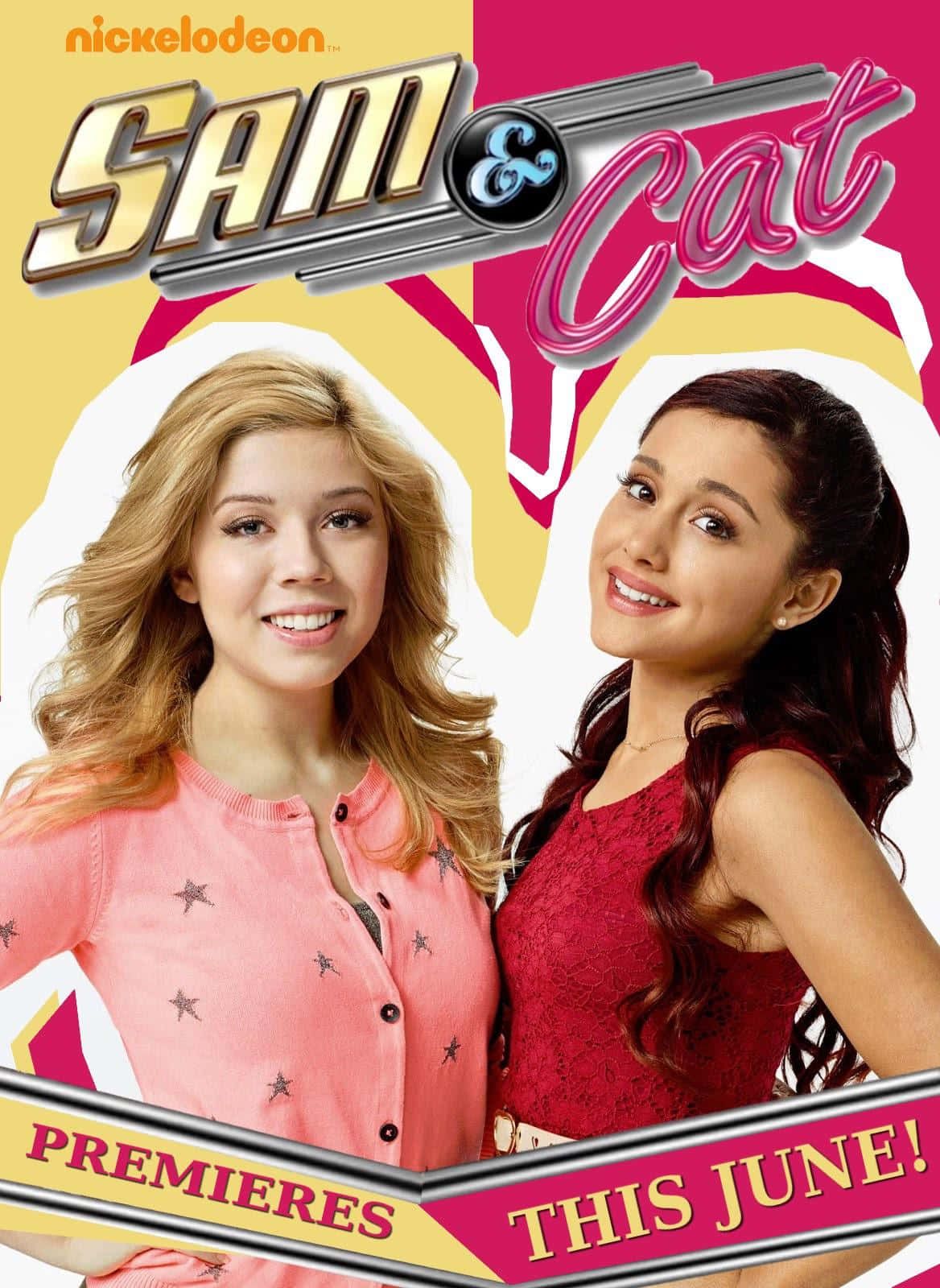 sam and cat poster