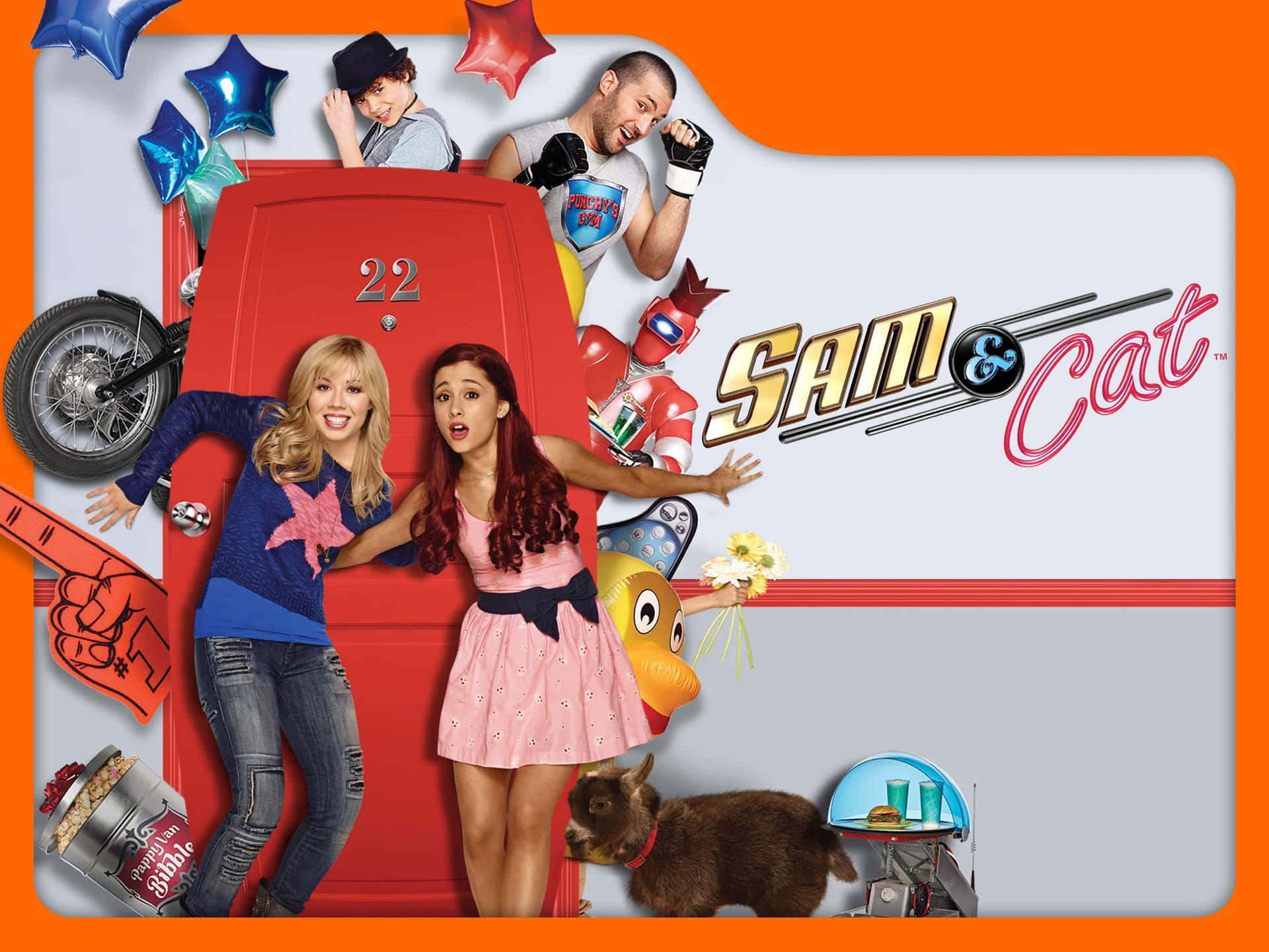 sam and cat poster