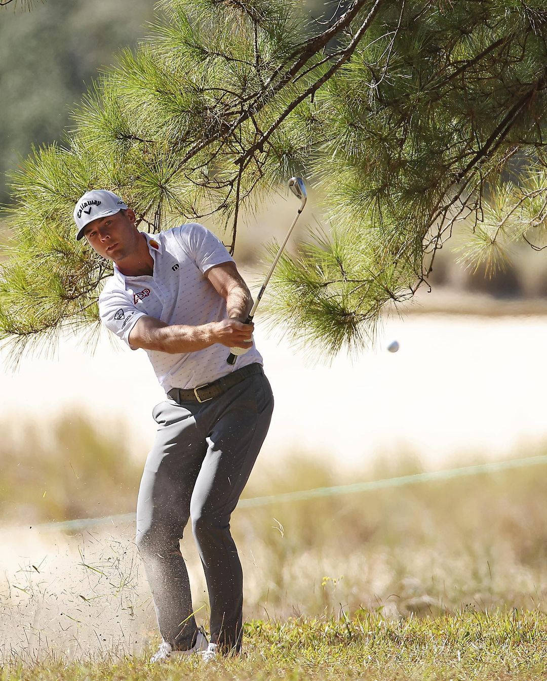 Sam Burns Golfing Under A Tree Wallpaper