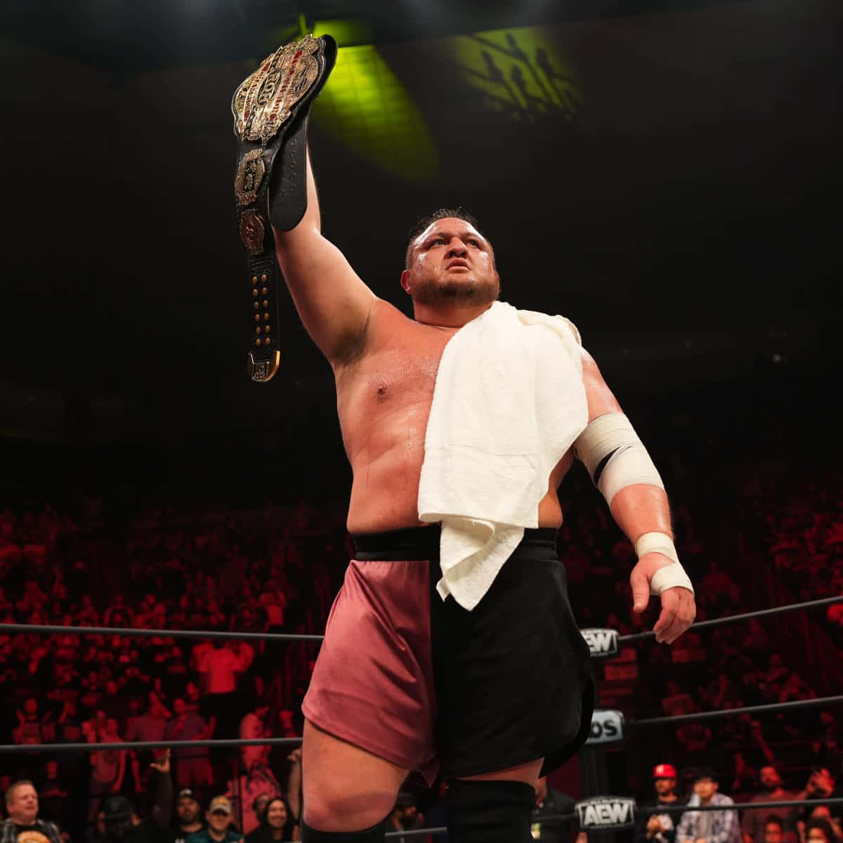 Samoa Joe Ring Of Honor World Champion Belt Background