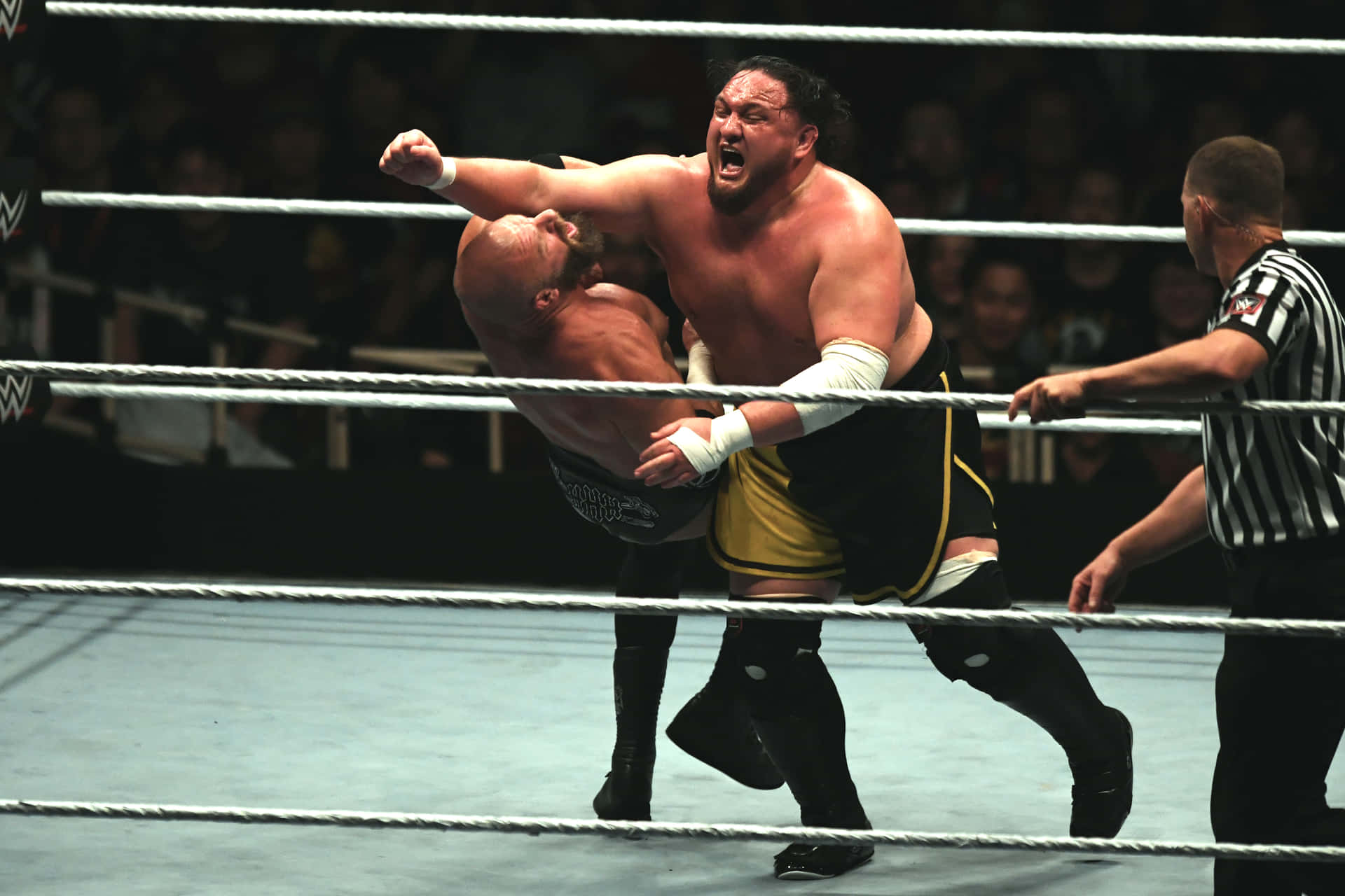 Samoajoe Contra Triple H En Wwe Live Tokyo Fondo de pantalla