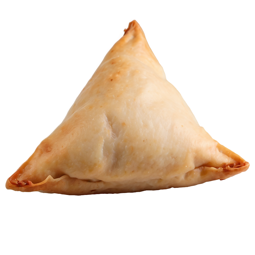 Samosa C PNG