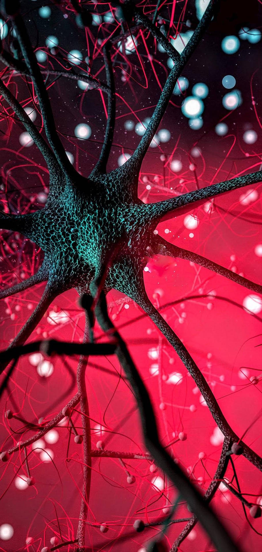 Samsung A71 Brain Neurons