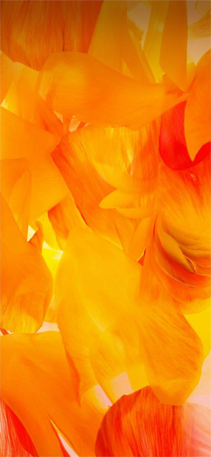 Samsung A71 Orange Petals
