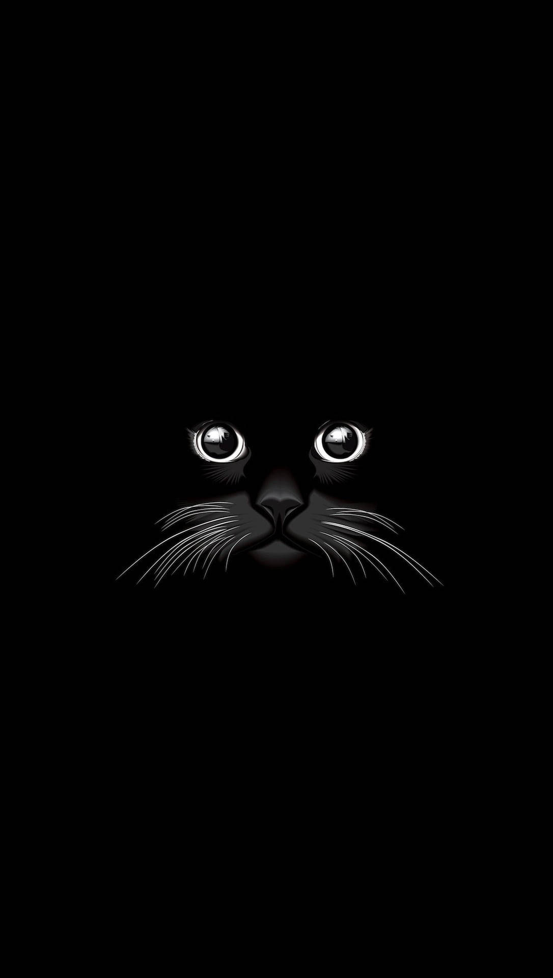 Samsung Black Cat Wallpaper