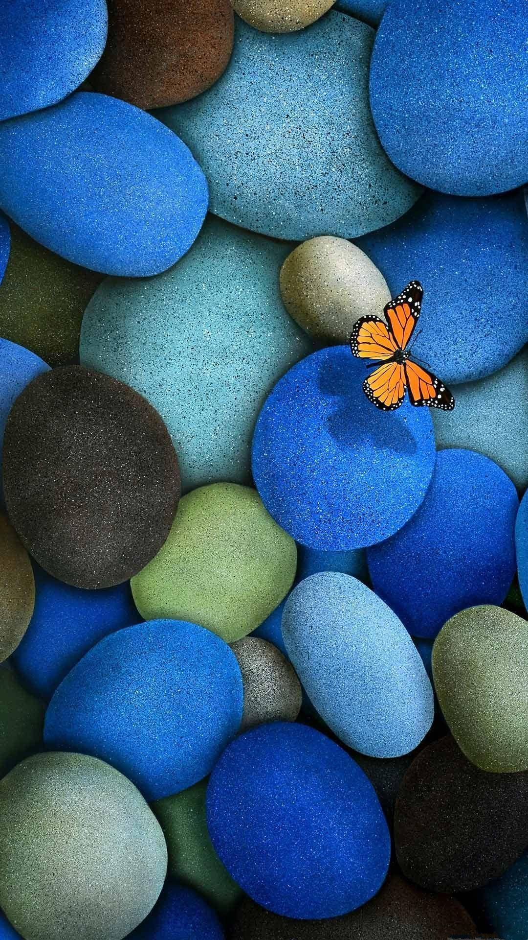 Samsunggalaxy 4k Blaue Kieselsteine Und Ein Schmetterling Wallpaper