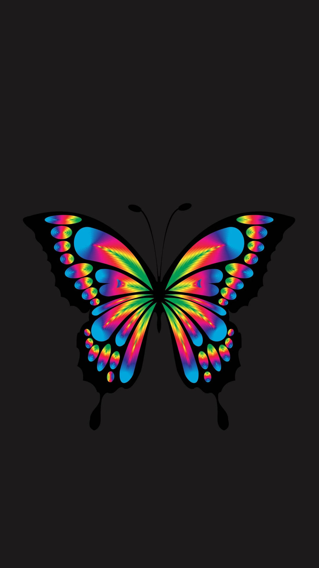 Download Samsung Galaxy 4k Colorful Butterfly Wallpaper