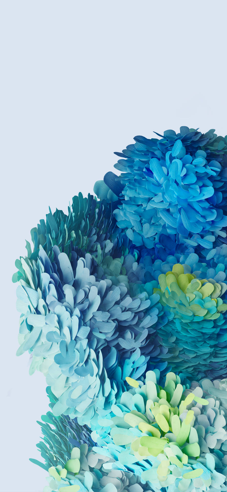 Samsung Galaxy S20 Blue Flowers Wallpaper