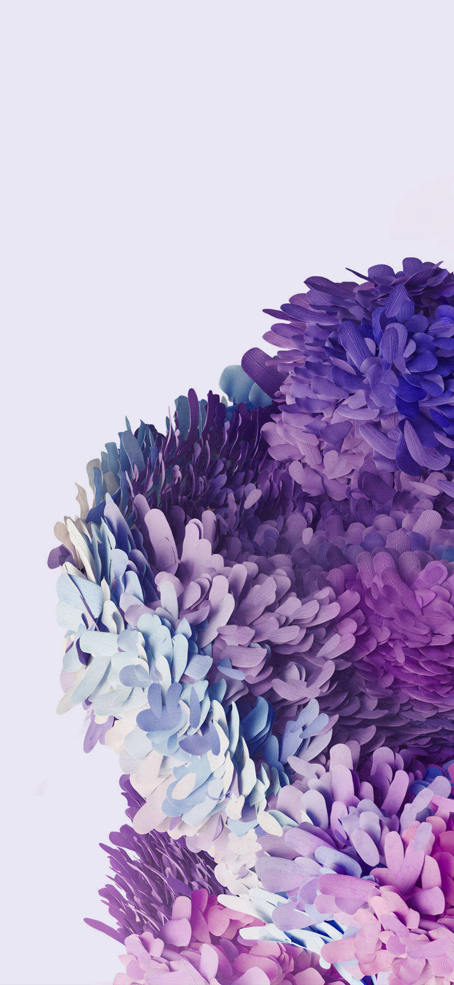 Samsung Galaxy S20 Purple Flowers Wallpaper