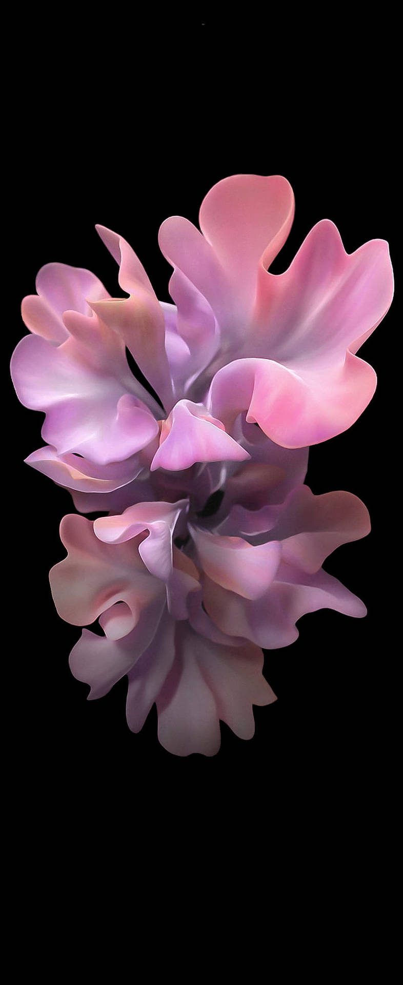 Samsung Galaxy S20 Sweet Pea Flower In Pink Background
