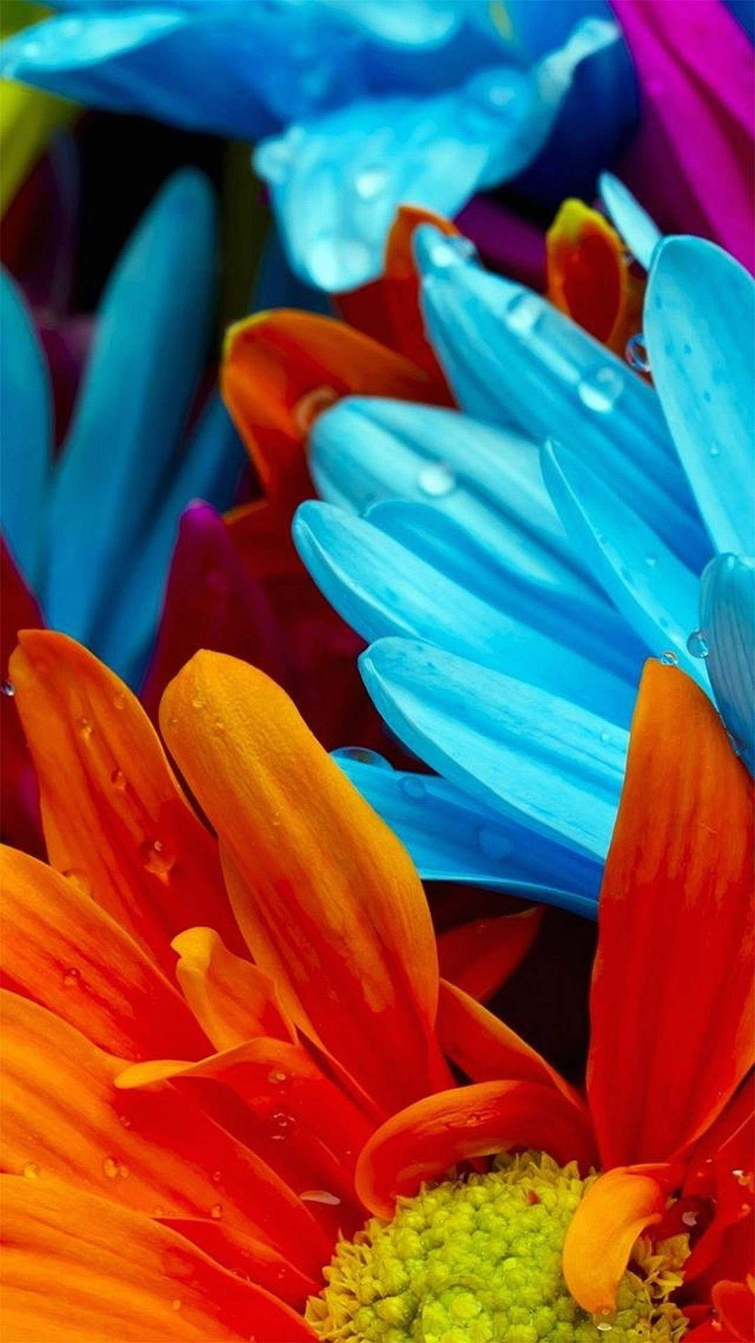 Samsung Galaxy S6 Edge Flower Bouquet Wallpaper